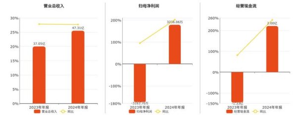 华英农业(002321.SZ)：2024年年报净利润为3236.06万元