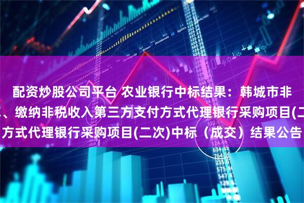 配资炒股公司平台 农业银行中标结果：韩城市非税收入收缴电子化改革、缴纳非税收入第三方支付方式代理银行采购项目(二次)中标（成交）结果公告