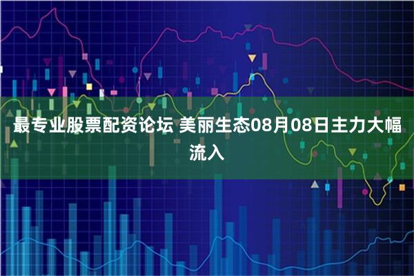 最专业股票配资论坛 美丽生态08月08日主力大幅流入
